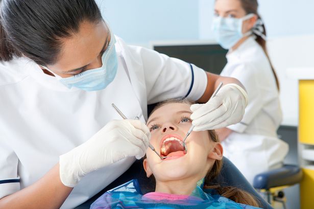 Choosing a dentist in Fort Myers: Essential tips to follow! 