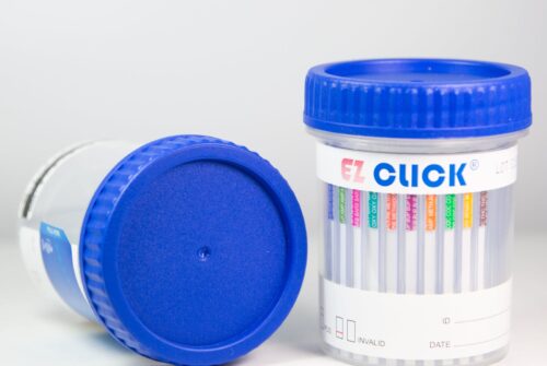 Why a 12-Panel Drug Test is Essential for Safety?