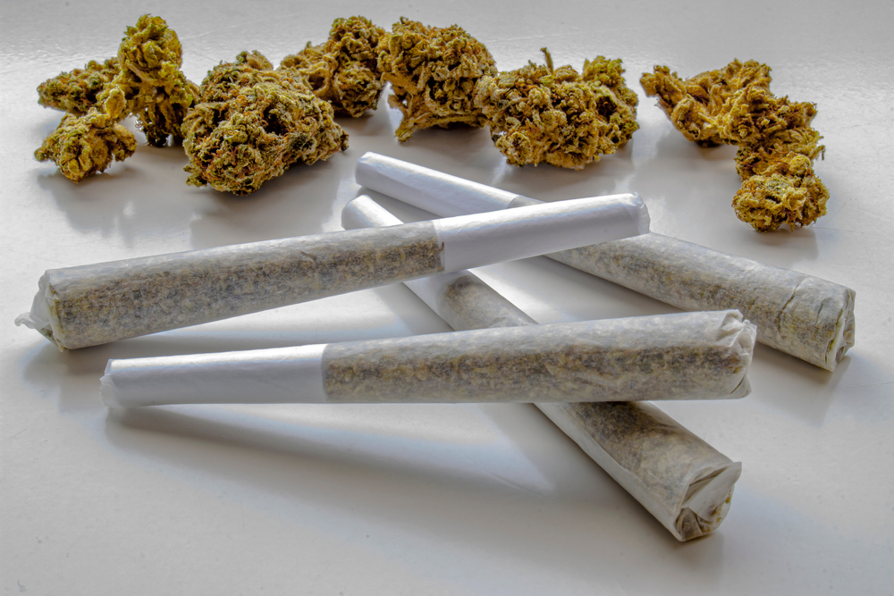 Your Guide to Choosing Between a Pre-Roll and Loose Cannabis Flower in Egg Harbor Township