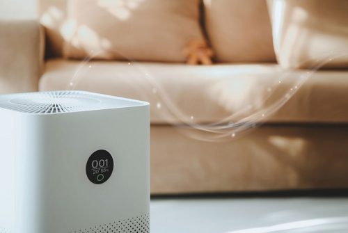 Seasonal Allergies? Why Changing Your Air Purifier Filter Matters More Often