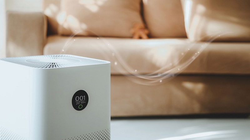 Seasonal Allergies? Why Changing Your Air Purifier Filter Matters More Often